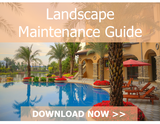 CTA_Maintenance_Guide-_VVI.png